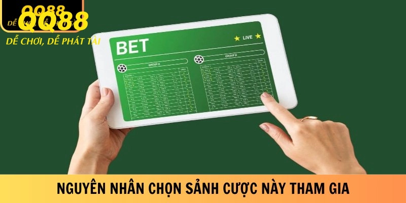 Nguyên nhân chọn sảnh cược này tham gia